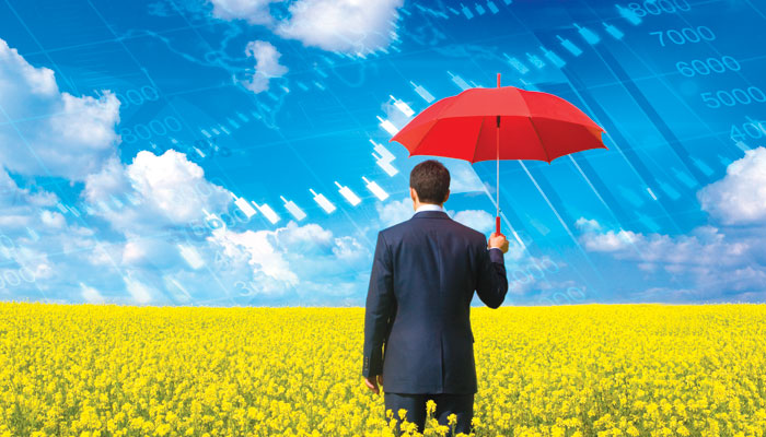 Protecting the Commodity Marketplace