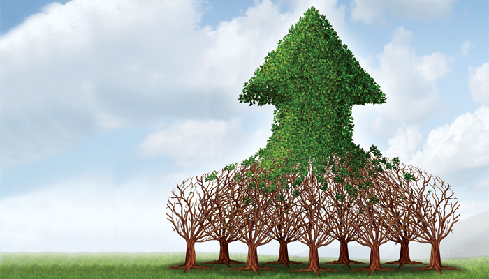 Evolving for Survival and Success