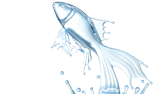 Can Hydropower and Fish Coexist?