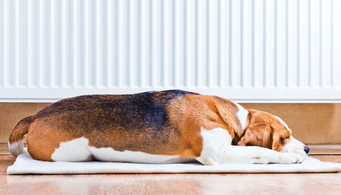 How to Sell Hydronics