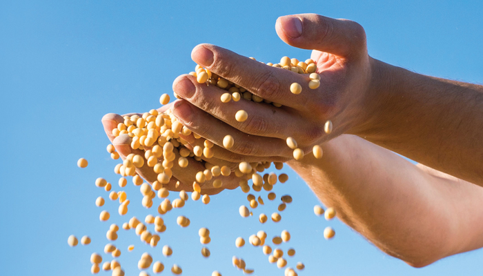 Biodiesel Industry Is Buoyant About 2016