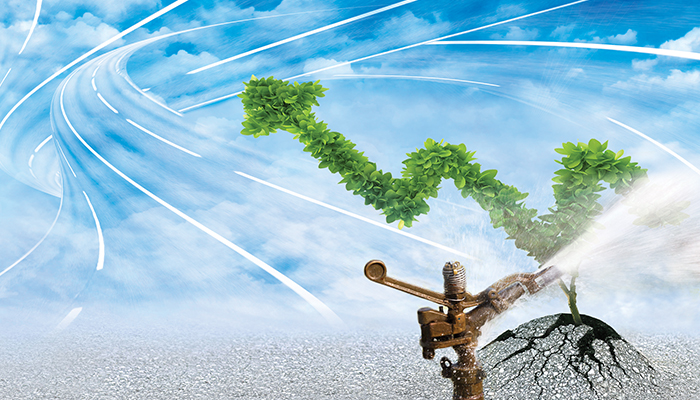 Grow Your Business Your Way