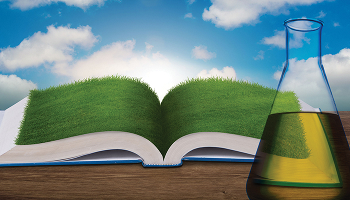 RINderella – A Fuel Story