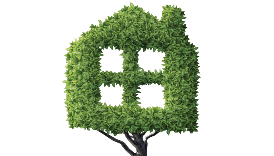 Planning for the Green Recovery