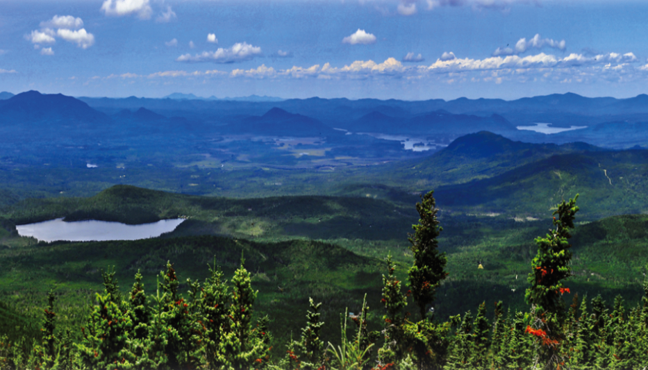 Central Maine Power Line Stalled Again