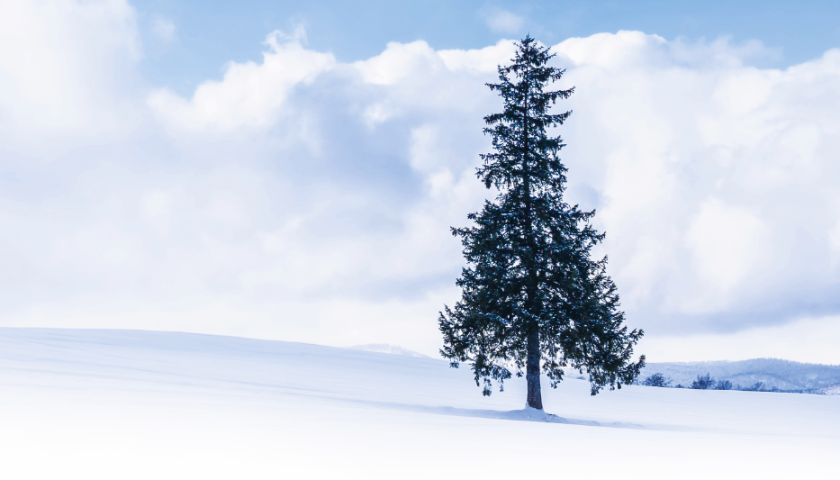 winterReview.png