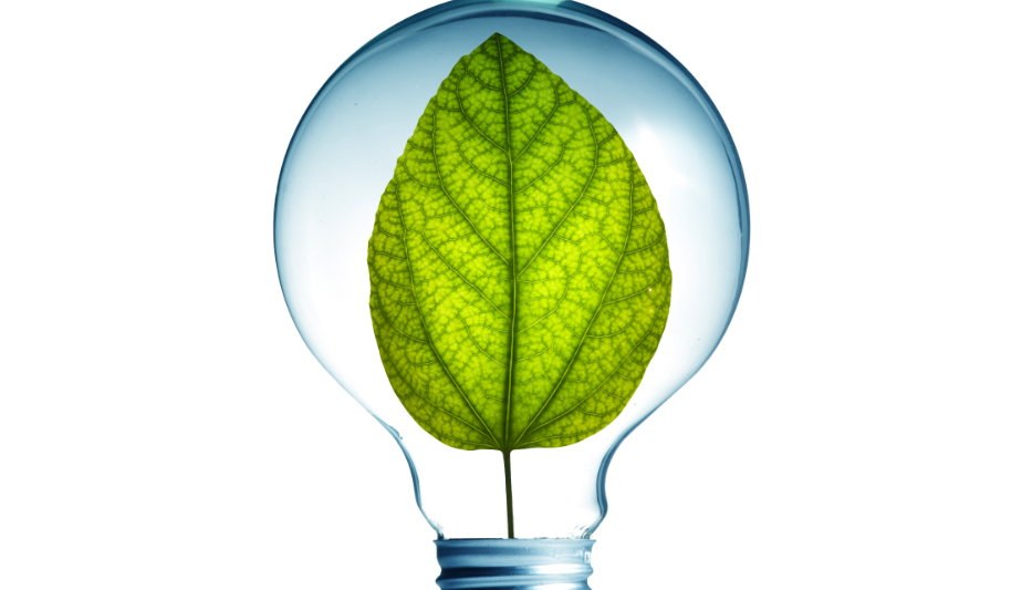 greenIdea.jpg