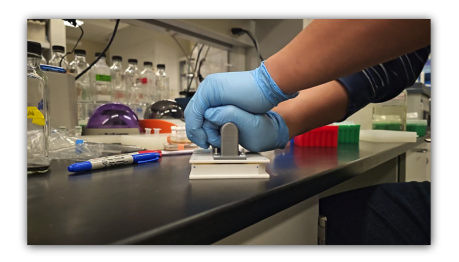 Squashing Fungi for Biofuels – By Hand