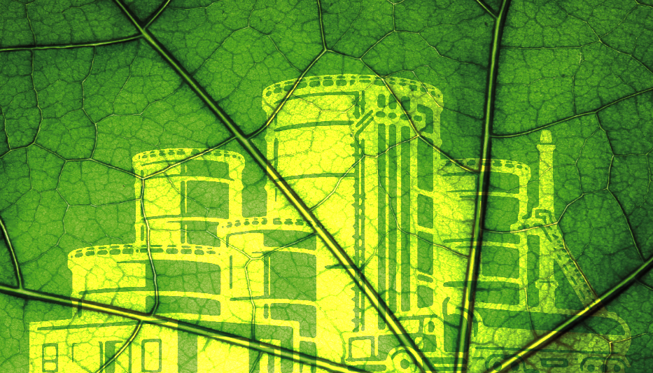 Biodiesel or Renewable Diesel