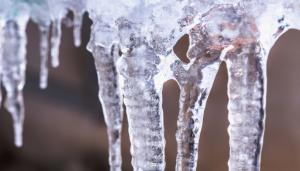 Grid Stays Reliable During Prolonged Cold